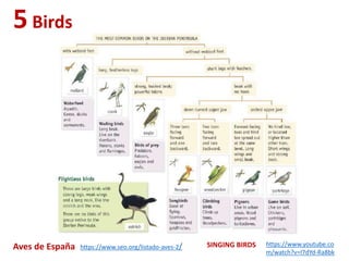 5Birds
https://www.seo.org/listado-aves-2/Aves de España https://www.youtube.co
m/watch?v=I7dYd-Ra8bk
SINGING BIRDS
 