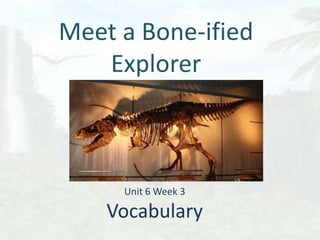 Meet a Bone-ified Explorer Unit 6 Week 3Vocabulary 