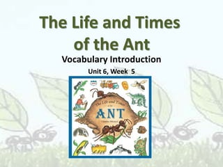 The Life and Times of the Ant Vocabulary Introduction Unit 6, Week  5 