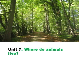 Unit 7. Where do animals
live?

 