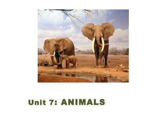 Unit 7: ANIMALS
 