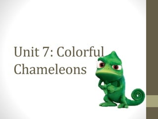 Unit 7: Colorful
Chameleons
 