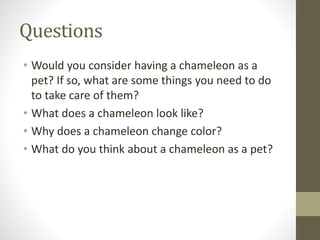Questions
• Would you consider having a chameleon as a
pet? If so, what are some things you need to do
to take care of them?
• What does a chameleon look like?
• Why does a chameleon change color?
• What do you think about a chameleon as a pet?
 
