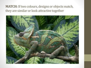 MATCH:Iftwocolours,designsorobjectsmatch,
theyaresimilarorlookattractivetogether
 