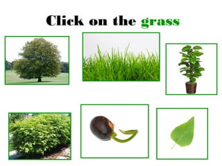 Click on the grass
 