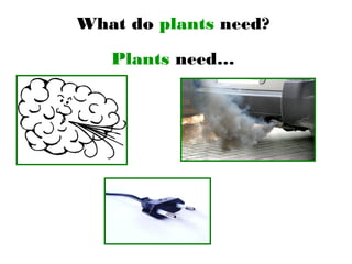 What do plants need?
Plants need…
 