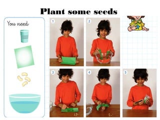 Plant some seeds
 