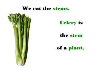 We eat the stems.
Celery is
the stem
of a plant.
 