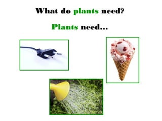 What do plants need?
Plants need…
 