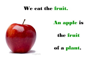We eat the fruit.
An apple is
the fruit
of a plant.
 