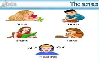 Creada por: Andres Rios M. Design
The senses
 