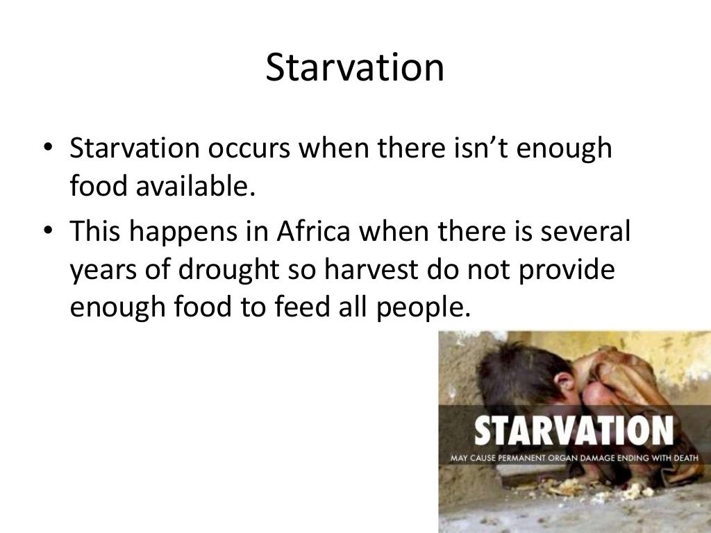 Unit 7 animal nutrition - diet