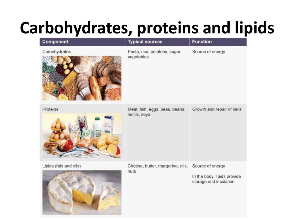 Unit 7 animal nutrition - diet