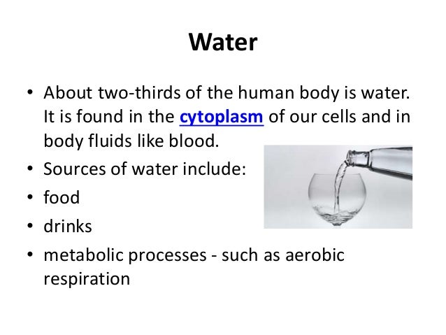 Unit 7 animal nutrition - diet