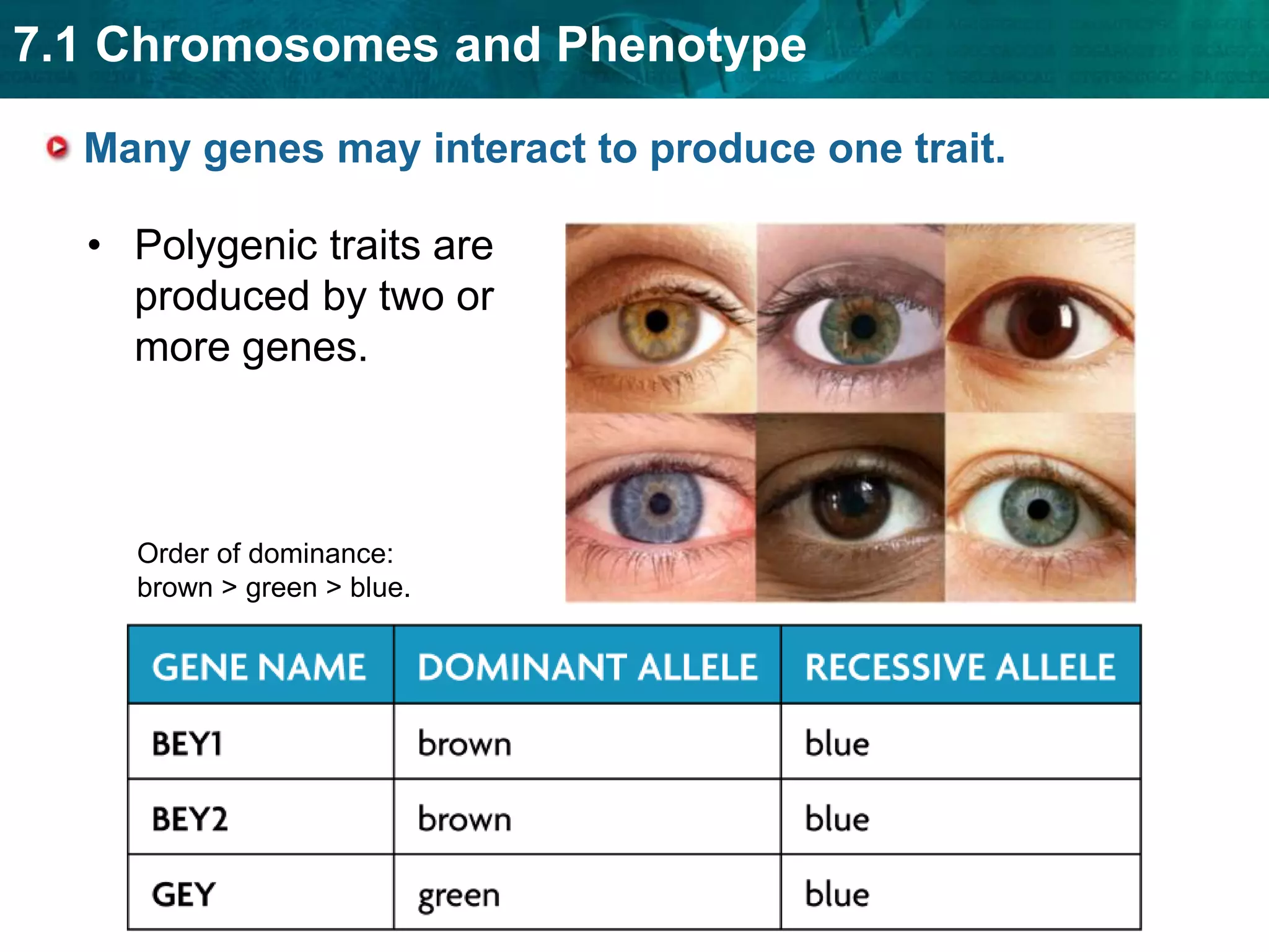 Phenotype can depend on interactions of alleles.In incomplete dominance, neither allele is completely dominant nor completely recessive.Heterozygous phenotype is intermediate between the two homozygous phenotypesHomozygous parental phenotypes not seen in F1 offspring
