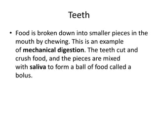Teeth
• Food is broken down into smaller pieces in the
mouth by chewing. This is an example
of mechanical digestion. The teeth cut and
crush food, and the pieces are mixed
with saliva to form a ball of food called a
bolus.
 