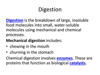 Digestion
Digestion is the breakdown of large, insoluble
food molecules into small, water-soluble
molecules using mechanical and chemical
processes.
Mechanical digestion includes:
• chewing in the mouth
• churning in the stomach
Chemical digestion involves enzymes. These are
proteins that function as biological catalysts.
 
