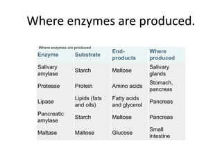 Where enzymes are produced.
Enzyme Substrate
End-
products
Where
produced
Salivary
amylase
Starch Maltose
Salivary
glands
Protease Protein Amino acids
Stomach,
pancreas
Lipase
Lipids (fats
and oils)
Fatty acids
and glycerol
Pancreas
Pancreatic
amylase
Starch Maltose Pancreas
Maltase Maltose Glucose
Small
intestine
Where enzymes are produced
 