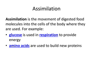 Assimilation
Assimilation is the movement of digested food
molecules into the cells of the body where they
are used. For example:
• glucose is used in respiration to provide
energy
• amino acids are used to build new proteins
 