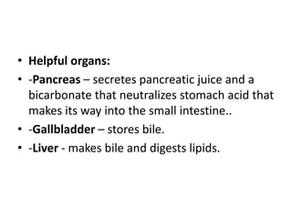 • Helpful organs:
• -Pancreas – secretes pancreatic juice and a
bicarbonate that neutralizes stomach acid that
makes its way into the small intestine..
• -Gallbladder – stores bile.
• -Liver - makes bile and digests lipids.
 