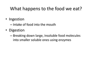What happens to the food we eat?
• Ingestion
– Intake of food into the mouth
• Digestion
– Breaking down large, insoluble food molecules
into smaller soluble ones using enzymes
 