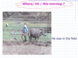 He was in the field  Where/ He / this morning ? 