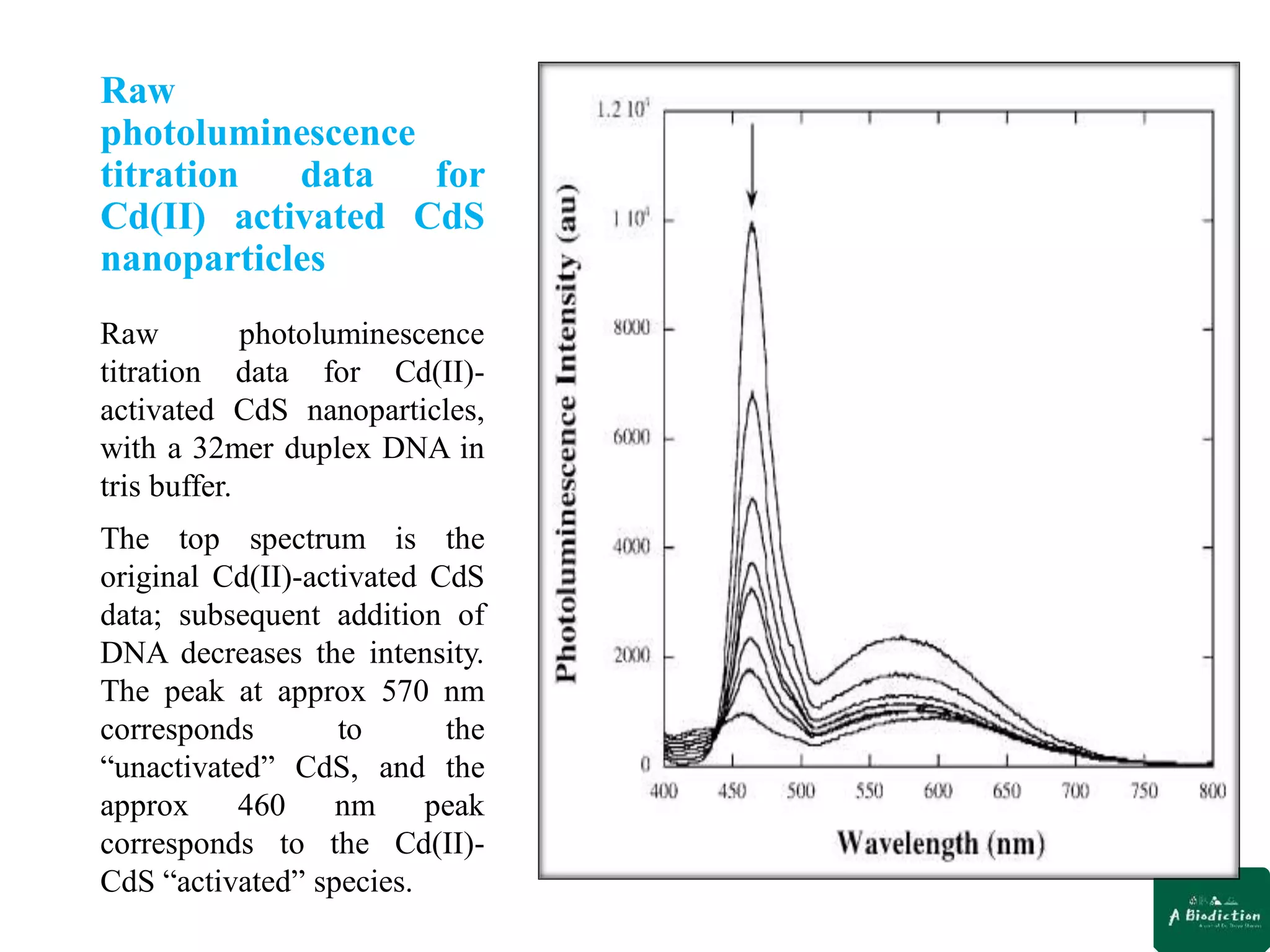 Raw
photoluminescence
titration data for
Cd(II) activated CdS
nanoparticles
Raw photoluminescence
titration data for Cd(II)-
activated CdS nanoparticles,
with a 32mer duplex DNA in
tris buffer.
The top spectrum is the
original Cd(II)-activated CdS
data; subsequent addition of
DNA decreases the intensity.
The peak at approx 570 nm
corresponds to the
“unactivated” CdS, and the
approx 460 nm peak
corresponds to the Cd(II)-
CdS “activated” species.
 
