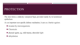 PROTECTION
The skin forms a relatively waterproof layer, provided mainly by its keratinized
epithelium
As an important non-specific defense mechanism, it acts as a barrier against:
◾ invasion by microorganisms
◾ Chemicals
◾ physical agents, e.g., mild trauma, ultraviolet light
◾ dehydration
 