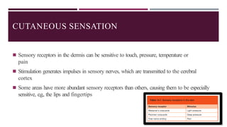 CUTANEOUS SENSATION
◾ Sensory receptors in the dermis can be sensitive to touch, pressure, temperature or
pain
◾ Stimulation generates impulses in sensory nerves, which are transmitted to the cerebral
cortex
◾ Some areas have more abundant sensory receptors than others, causing them to be especially
sensitive, e.g., the lips and fingertips
 