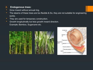 Unit_7-_Timbercivilengieeringmaterials.pptx