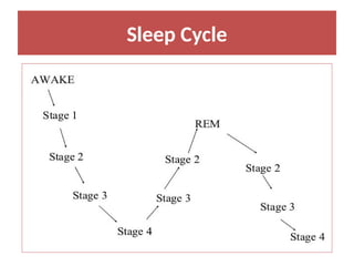 Sleep Cycle
 