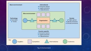 4
Fig: E-Environment
 