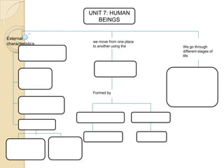 UNIT 7: HUMAN
BEINGS

External
characteristics

we move from one place
to another using the

Formed by

We go through
different stages of
life

 