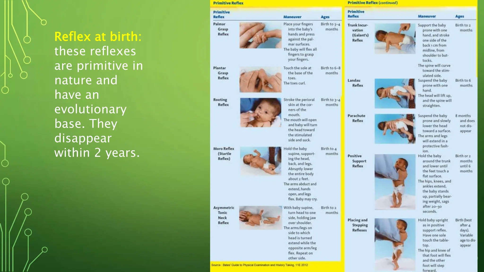 Reflex at birth:
these reflexes
are primitive in
nature and
have an
evolutionary
base. They
disappear
within 2 years.
 