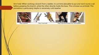 UNIT &7 ladder.pptx
