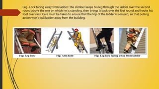 Ladder Limp UNIT &7 ladder.pptx
