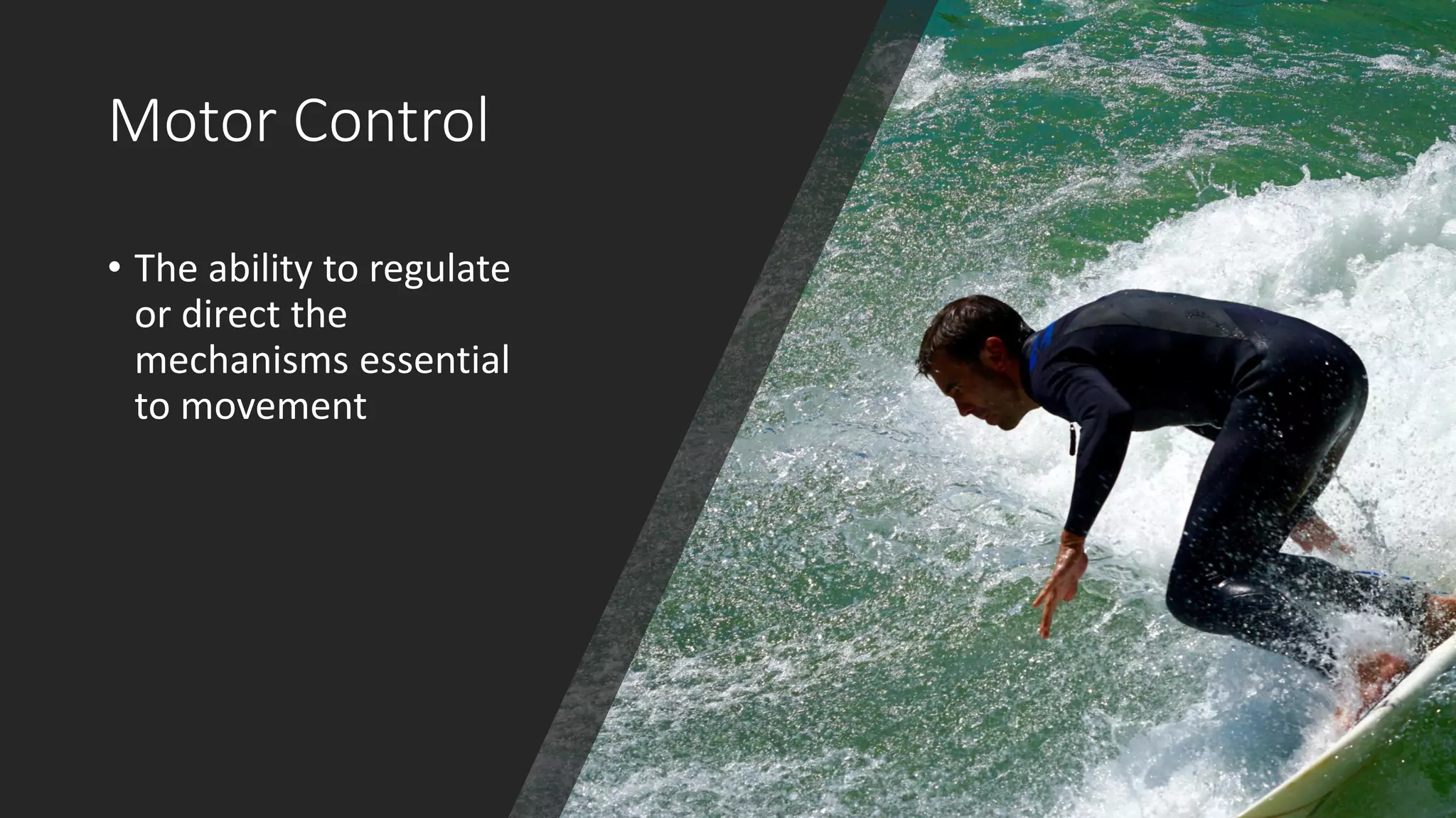 Motor Control
• The ability to regulate
or direct the
mechanisms essential
to movement
 