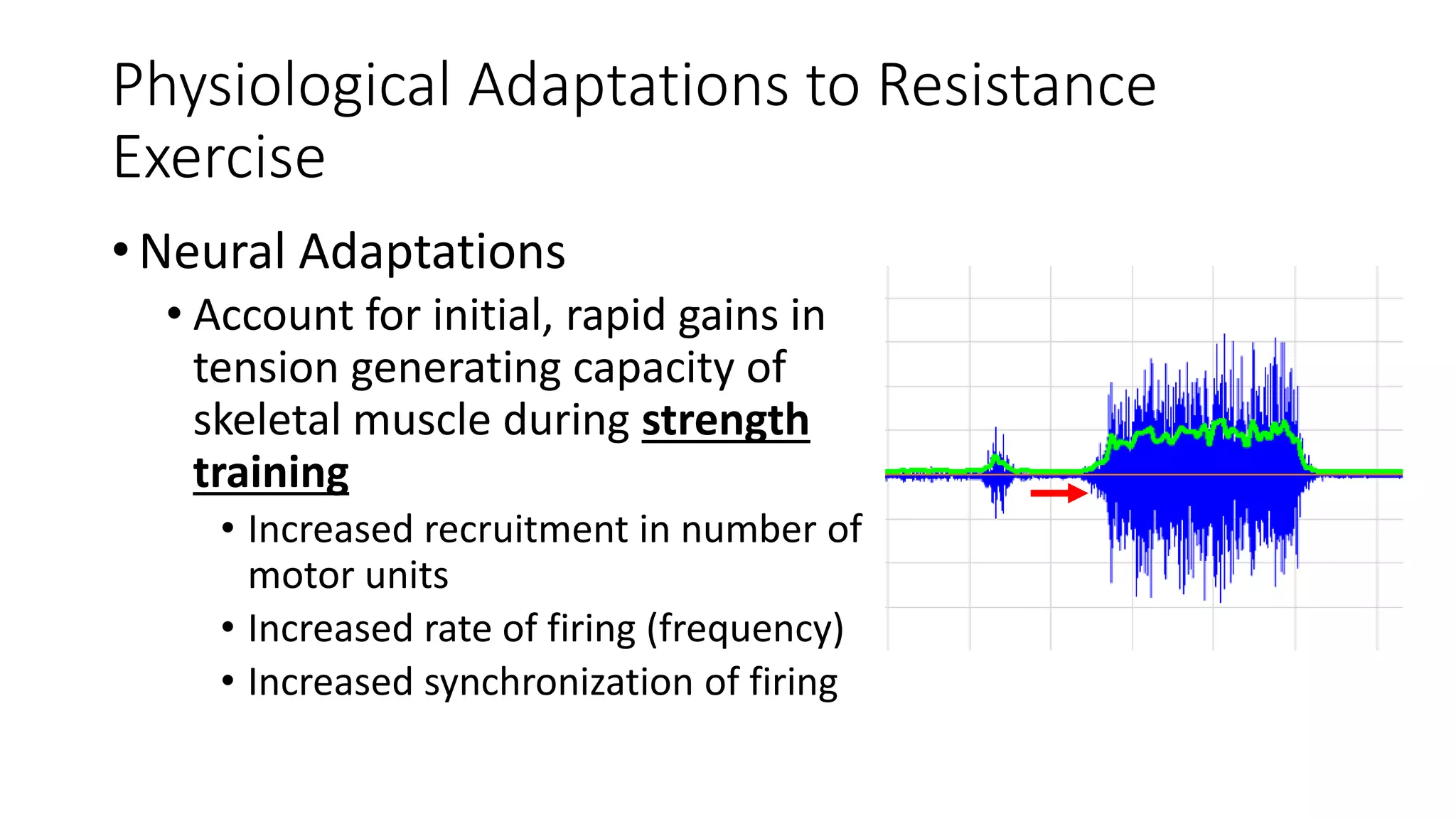 Physiological Adaptations to Resistance
Exercise
•Neural Adaptations
• Account for initial, rapid gains in
tension generating capacity of
skeletal muscle during strength
training
• Increased recruitment in number of
motor units
• Increased rate of firing (frequency)
• Increased synchronization of firing
 