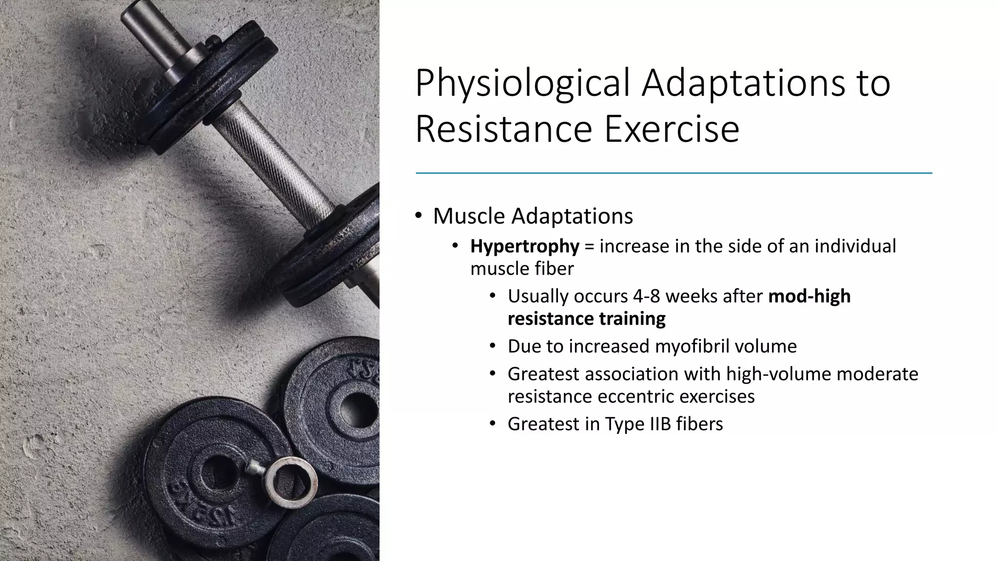 Physiological Adaptations to
Resistance Exercise
• Muscle Adaptations
• Hypertrophy = increase in the side of an individual
muscle fiber
• Usually occurs 4-8 weeks after mod-high
resistance training
• Due to increased myofibril volume
• Greatest association with high-volume moderate
resistance eccentric exercises
• Greatest in Type IIB fibers
 