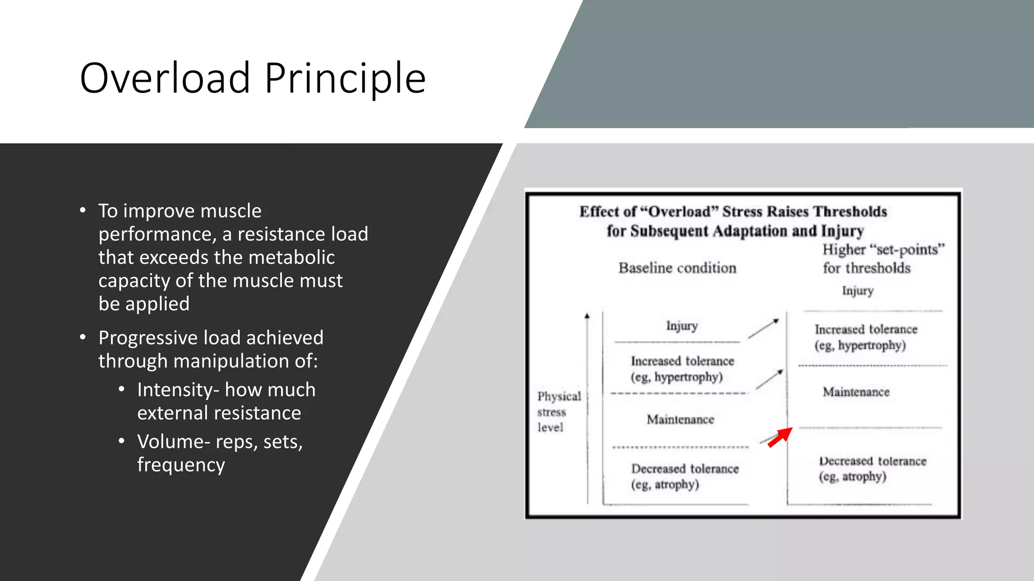 Overload Principle
• To improve muscle
performance, a resistance load
that exceeds the metabolic
capacity of the muscle must
be applied
• Progressive load achieved
through manipulation of:
• Intensity- how much
external resistance
• Volume- reps, sets,
frequency
 