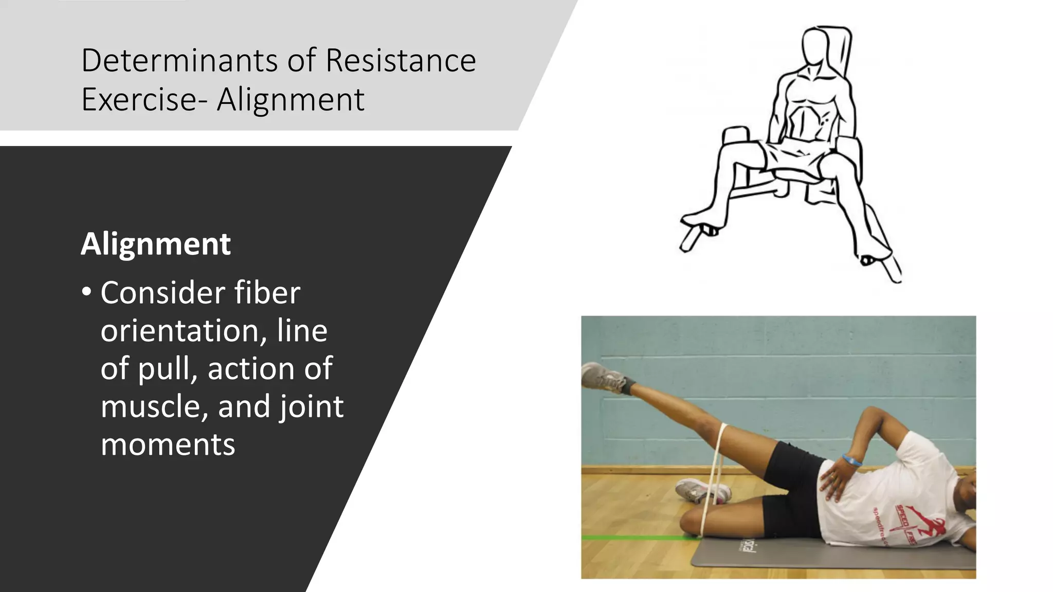 Determinants of Resistance
Exercise- Alignment
Alignment
• Consider fiber
orientation, line
of pull, action of
muscle, and joint
moments
 