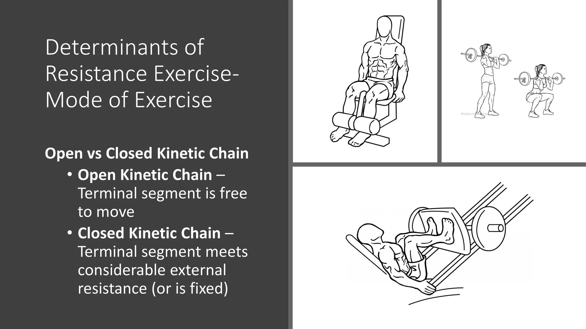 Determinants of
Resistance Exercise-
Mode of Exercise
Open vs Closed Kinetic Chain
• Open Kinetic Chain –
Terminal segment is free
to move
• Closed Kinetic Chain –
Terminal segment meets
considerable external
resistance (or is fixed)
 