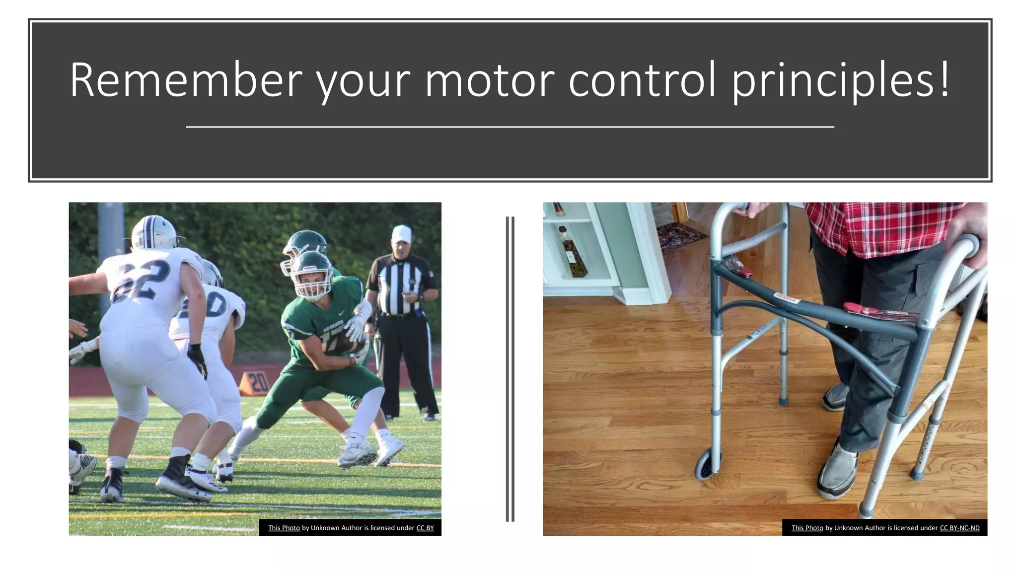 Remember your motor control principles!
This Photo by Unknown Author is licensed under CC BY This Photo by Unknown Author is licensed under CC BY-NC-ND
 