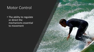 Motor Control
• The ability to regulate
or direct the
mechanisms essential
to movement
 