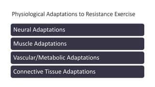 Physiological Adaptations to Resistance Exercise
Neural Adaptations
Muscle Adaptations
Vascular/Metabolic Adaptations
Connective Tissue Adaptations
 