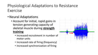 Physiological Adaptations to Resistance
Exercise
•Neural Adaptations
• Account for initial, rapid gains in
tension generating capacity of
skeletal muscle during strength
training
• Increased recruitment in number of
motor units
• Increased rate of firing (frequency)
• Increased synchronization of firing
 