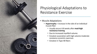 Physiological Adaptations to
Resistance Exercise
• Muscle Adaptations
• Hypertrophy = increase in the side of an individual
muscle fiber
• Usually occurs 4-8 weeks after mod-high
resistance training
• Due to increased myofibril volume
• Greatest association with high-volume moderate
resistance eccentric exercises
• Greatest in Type IIB fibers
 