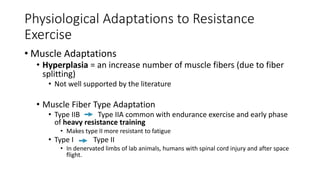 Physiological Adaptations to Resistance
Exercise
• Muscle Adaptations
• Hyperplasia = an increase number of muscle fibers (due to fiber
splitting)
• Not well supported by the literature
• Muscle Fiber Type Adaptation
• Type IIB Type IIA common with endurance exercise and early phase
of heavy resistance training
• Makes type II more resistant to fatigue
• Type I Type II
• In denervated limbs of lab animals, humans with spinal cord injury and after space
flight.
 