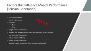 Factors that Influence Muscle Performance
(Tension Generation)
• Cross- sectional size
• Muscle architecture
• Fiber type
• Type I
• Type II
• Length-tension relationship
• Moment arm between muscle force vector and axis of joint rotation
• Recruitment of motor units
• Rate of motor unit firing
• Type of muscle contraction
• Speed of muscle contraction (force-velocity relationship)
 