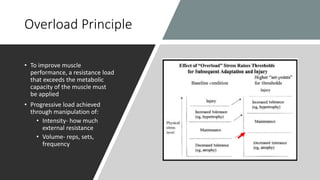 Overload Principle
• To improve muscle
performance, a resistance load
that exceeds the metabolic
capacity of the muscle must
be applied
• Progressive load achieved
through manipulation of:
• Intensity- how much
external resistance
• Volume- reps, sets,
frequency
 